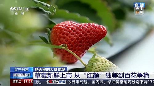 草莓国产视频